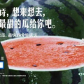 娱乐吃瓜文案去哪里找,吃瓜群众必看的幕后故事