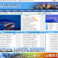 大连网站建设,打造专业网络平台，助力企业腾飞