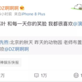 吃瓜娱乐胡先煦,揭秘娱乐圈背后的故事