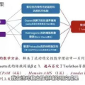 娱乐吃瓜酱毕业答辩,毕业答辩中的趣味与智慧碰撞