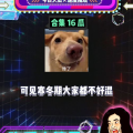 娱乐八卦吃瓜八卦,明星们的幕后故事与八卦风云