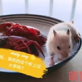 吃瓜娱乐背景板,揭秘娱乐圈幕后那些事儿