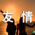 友谊的诗句,友谊的诗意颂歌