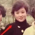 黑红小花在娱乐圈吃瓜,黑红小花吃瓜大揭秘