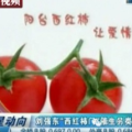 吃瓜娱乐营销号怎么做,如何玩转热点，吸引粉丝