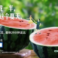 娱乐吃瓜评论文案怎么写,揭秘吃瓜群众的狂欢盛宴