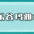 入伏后深圳炎热玩水好去处之欢乐谷水上乐园-深圳欢乐谷夜场票